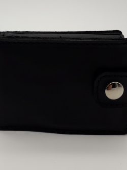 CH010